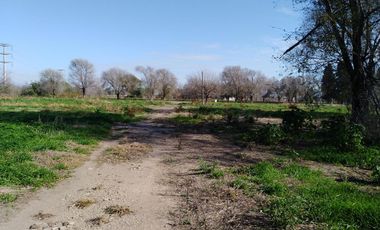 Quinta - Guiñazu