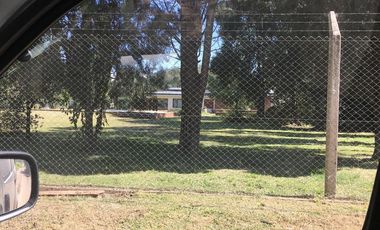 Quinta - Guiñazu
