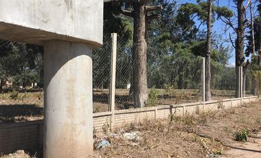 Quinta - Guiñazu