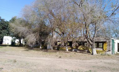 Quinta - Guiñazu