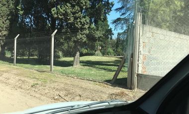 Quinta - Guiñazu