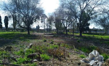 Quinta - Guiñazu