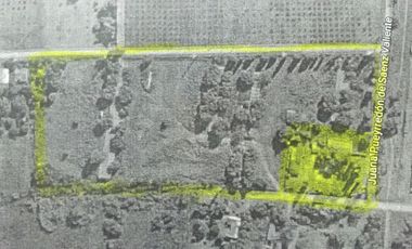 Quinta - Guiñazu