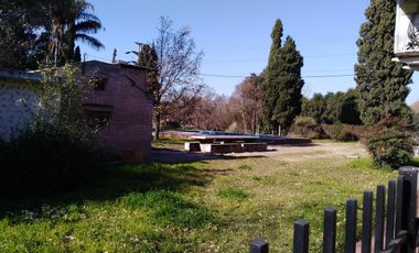 Quinta - Guiñazu