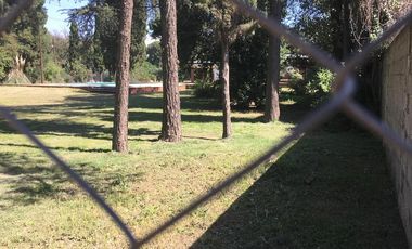 Quinta - Guiñazu