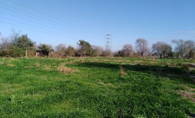 Quinta - Guiñazu