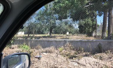 Quinta - Guiñazu