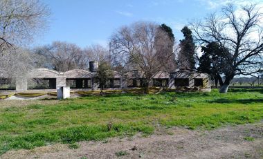 Quinta - Guiñazu