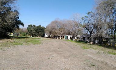 Quinta - Guiñazu