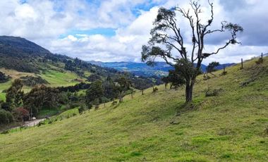 lote en venta en vereda el salitre. Cod V25773