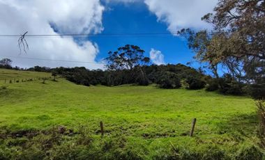 lote en venta en vereda el salitre. Cod V25773