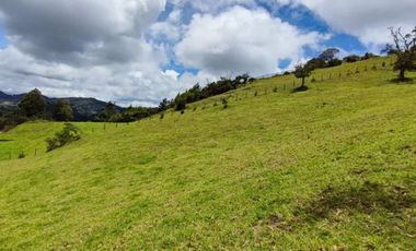 lote en venta en vereda el salitre. Cod V25773