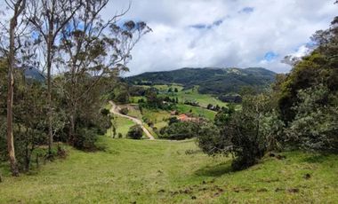 lote en venta en vereda el salitre. Cod V25773