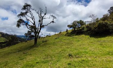 lote en venta en vereda el salitre. Cod V25773