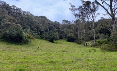 lote en venta en vereda el salitre. Cod V25773