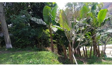 Se vende Lote de 77 metros en el barrio Gilberto Pelaez