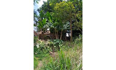 Se vende Lote de 77 metros en el barrio Gilberto Pelaez