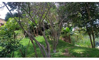 Se vende Lote de 77 metros en el barrio Gilberto Pelaez