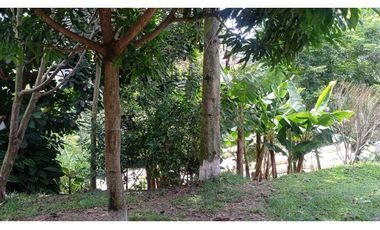 Se vende Lote de 77 metros en el barrio Gilberto Pelaez