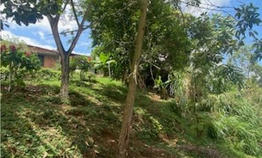 Se vende Lote de 77 metros en el barrio Gilberto Pelaez