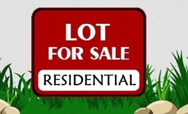 Vacant Lot for Sale in Alabang Hills Village, Muntinlupa City
