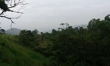 lote en venta en medio dapa. Cod V6068