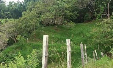 lote en venta en medio dapa. Cod V6068