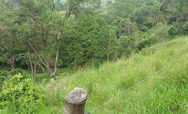 lote en venta en medio dapa. Cod V6068