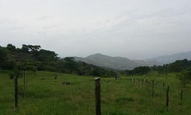 lote en venta en medio dapa. Cod V6068