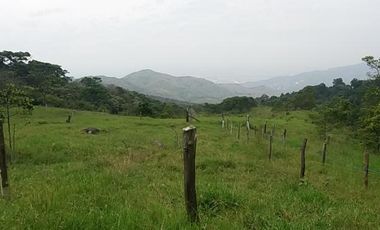 lote en venta en medio dapa. Cod V6068