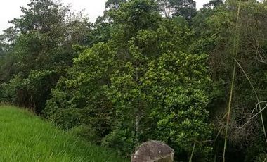 lote en venta en medio dapa. Cod V6068