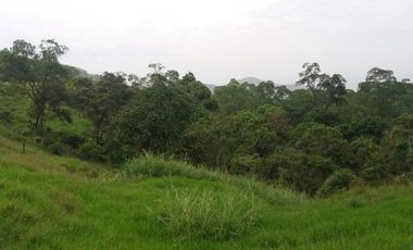 lote en venta en medio dapa. Cod V6068