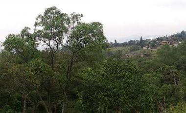 lote en venta en medio dapa. Cod V6068