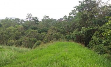 lote en venta en medio dapa. Cod V6068