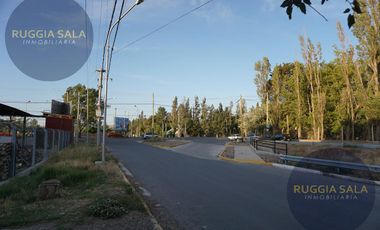 Galpón - Confluencia