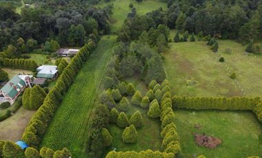 Finca en venta en Catalina