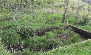 finca en venta en vereda chorro blanco. Cod V343