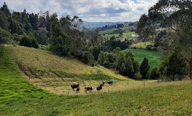 finca en venta en vereda chorro blanco. Cod V343