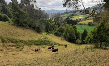finca en venta en vereda chorro blanco. Cod V343