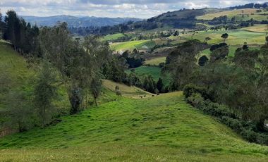 finca en venta en vereda chorro blanco. Cod V343