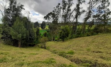 finca en venta en vereda chorro blanco. Cod V343