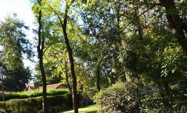 CASA QUINTA EN VENTA GENERAL RODRIGUEZ B PARQUE ORENSE REF.BR68B PICCARDO