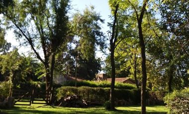 CASA QUINTA EN VENTA GENERAL RODRIGUEZ B PARQUE ORENSE REF.BR68B PICCARDO