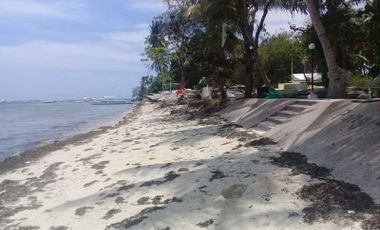 Panglao, Bohol with White Sand Beach, 26,000 square meters