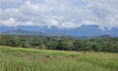 Se Vente Finca Titulada de 8 Hectáreas Capira Ollas Arriba