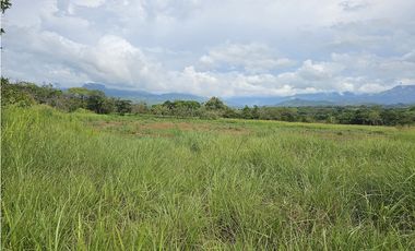 Se Vente Finca Titulada de 8 Hectáreas Capira Ollas Arriba