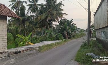 Tanah Sawah Produktif Lokasi Strategis Dekat Jalan Raya Yogyakarta - Magelang