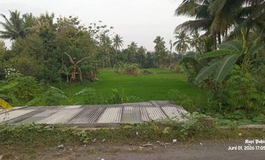Tanah Sawah Produktif Lokasi Strategis Dekat Jalan Raya Yogyakarta - Magelang