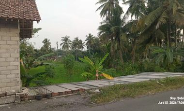 Tanah Sawah Produktif Lokasi Strategis Dekat Jalan Raya Yogyakarta - Magelang