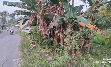 Tanah Sawah Produktif Lokasi Strategis Dekat Jalan Raya Yogyakarta - Magelang